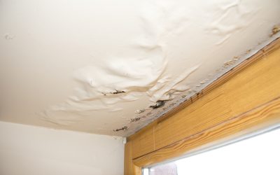 Restoring Peace of Mind With Emergency Water Damage Restoration in Downers Grove, IL