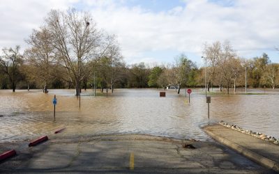 Restore Your Property Faster with a Water Damage Restoration Service in Vero Beach, FL