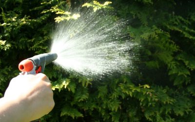 Keeping Lawns Pristine with Preemergence Weed Control Methods That Save Time and Effort